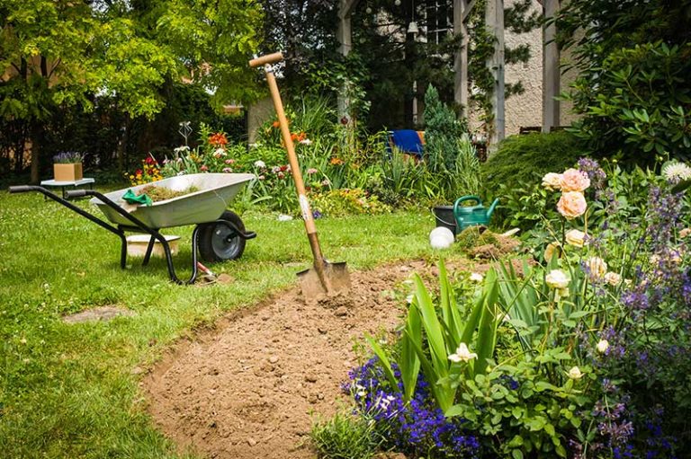Rose Soil Guide Preparing Your Soil for Planting Rose Bushes Garden