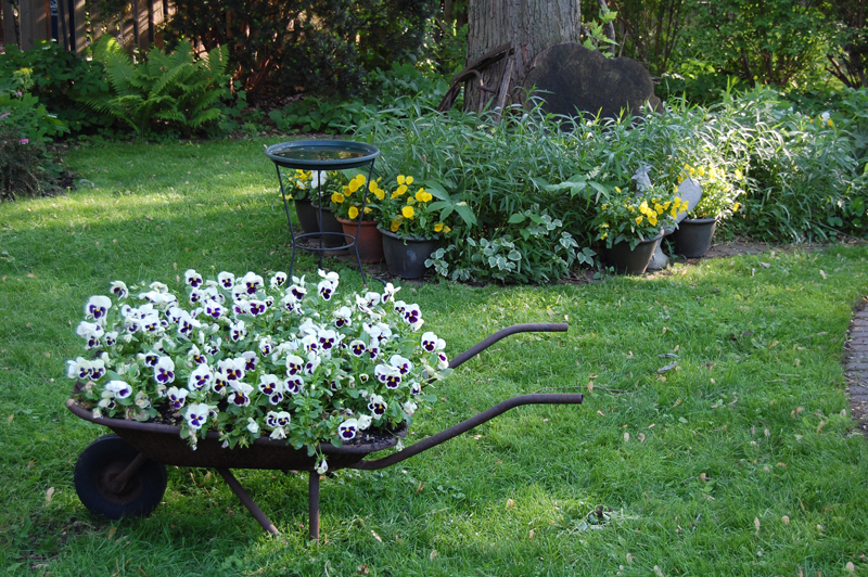 gardeninacity wheelbarrow 01