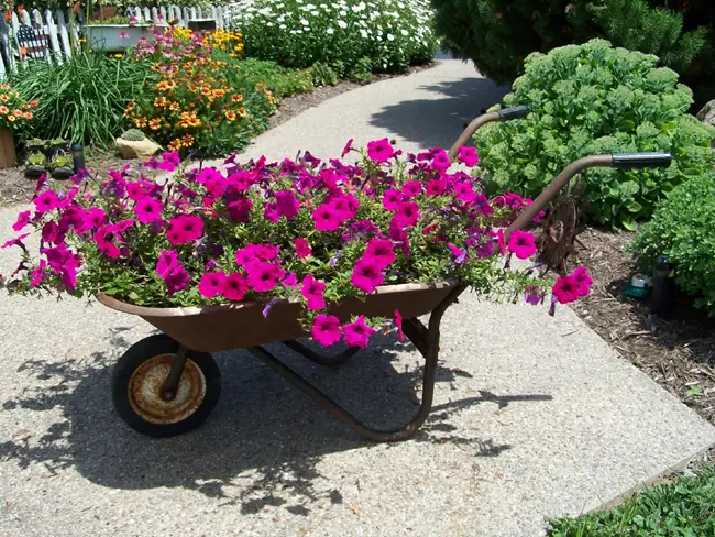 houzz wheelbarrow 01