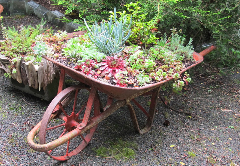 maysdream wheelbarrow 01