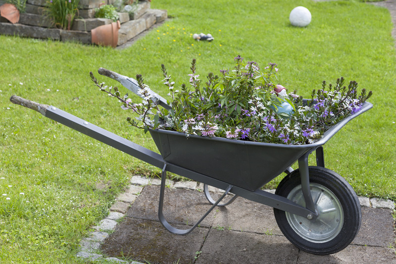 wheelbarrow planter 03