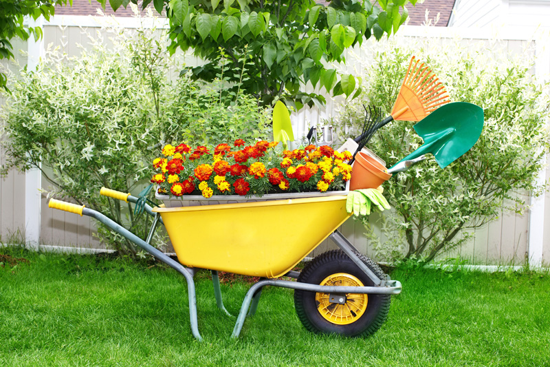 wheelbarrow planter 05