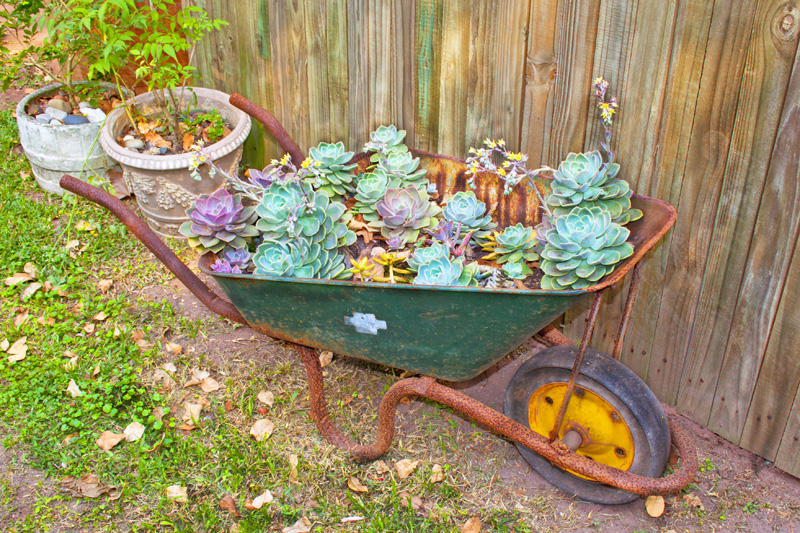 wheelbarrow planter 10