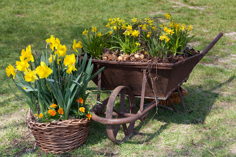 wheelbarrow planter 12