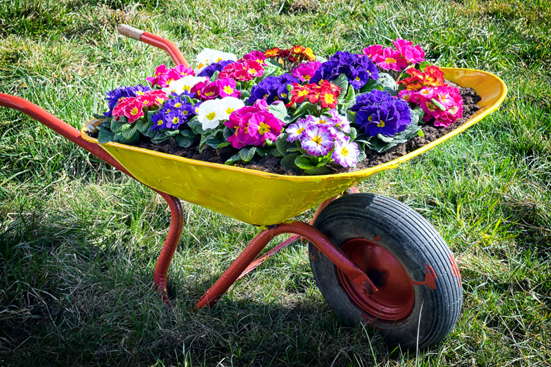 wheelbarrow planter 13