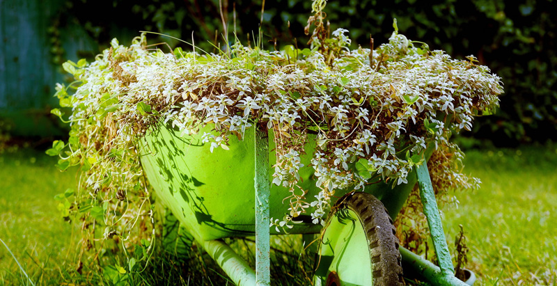 wheelbarrow planter 15