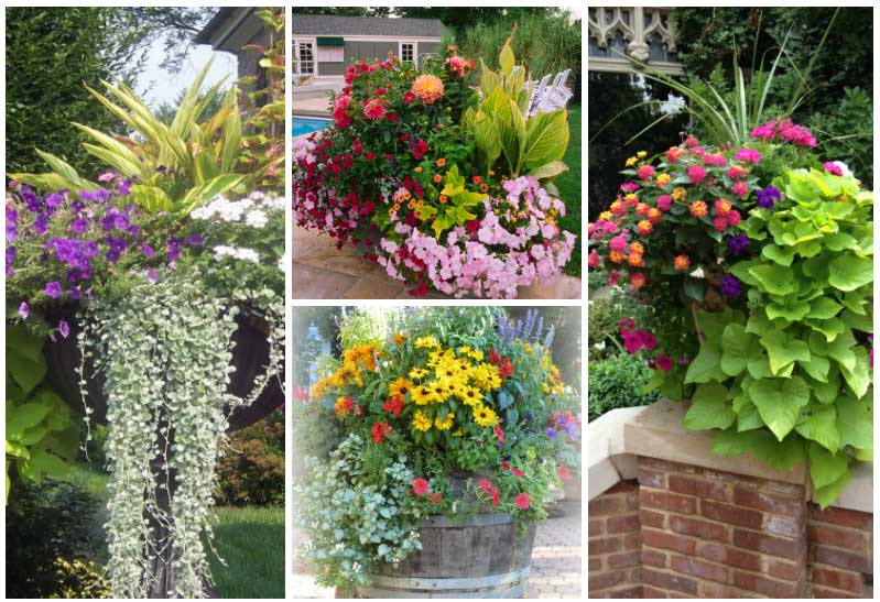 container gardens