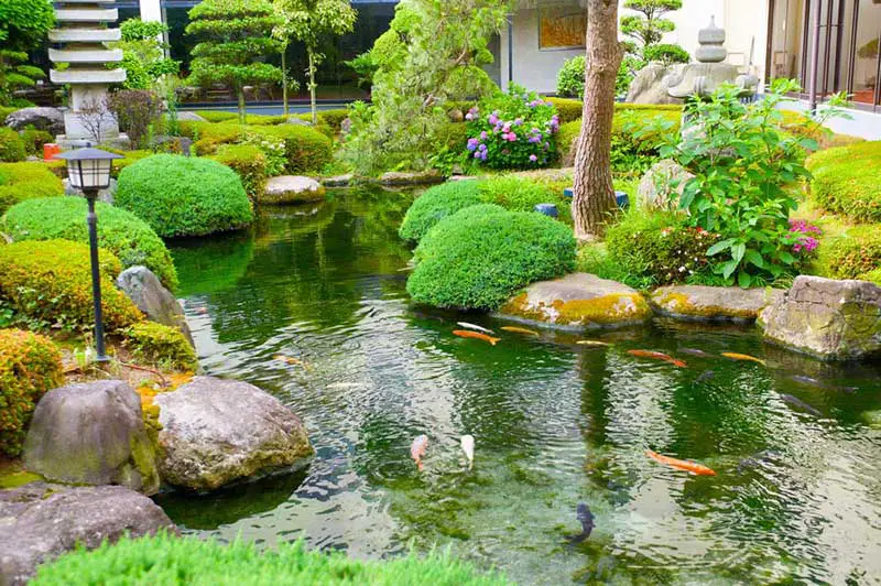 Japanese pond