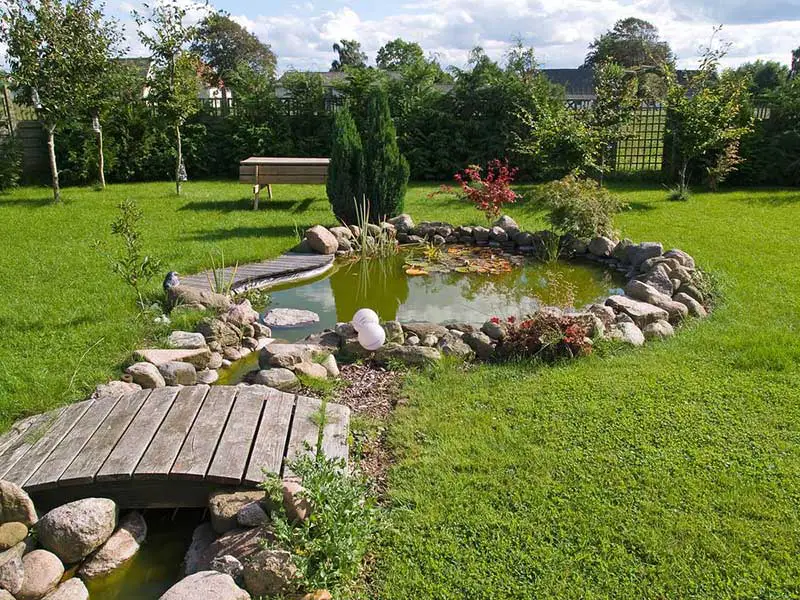 pond with bridge