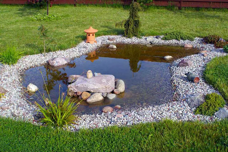 zen pond