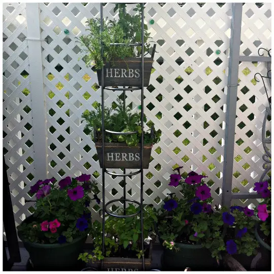 cd-tower-herb-garden