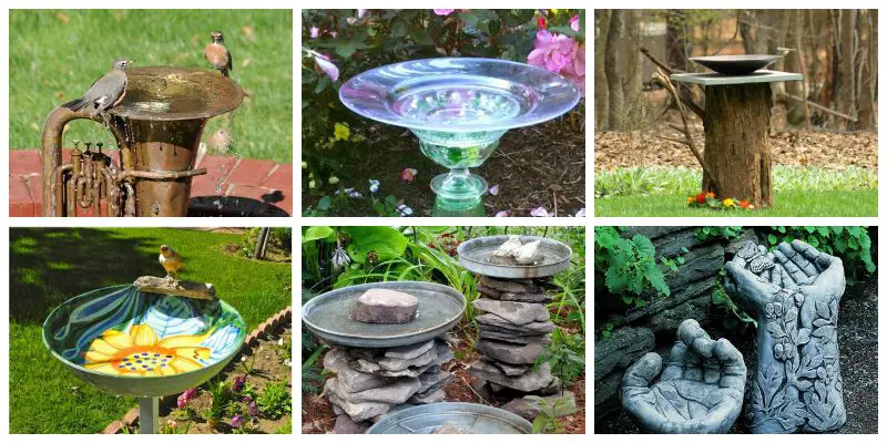 BirdbathCollage