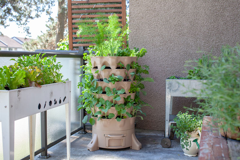 plant tower