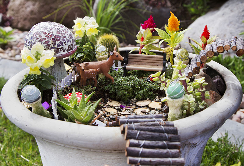 fairy garden container