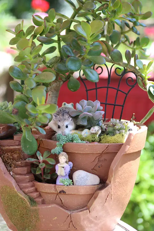 fairy garden container