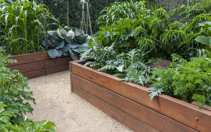 raised-garden-beds