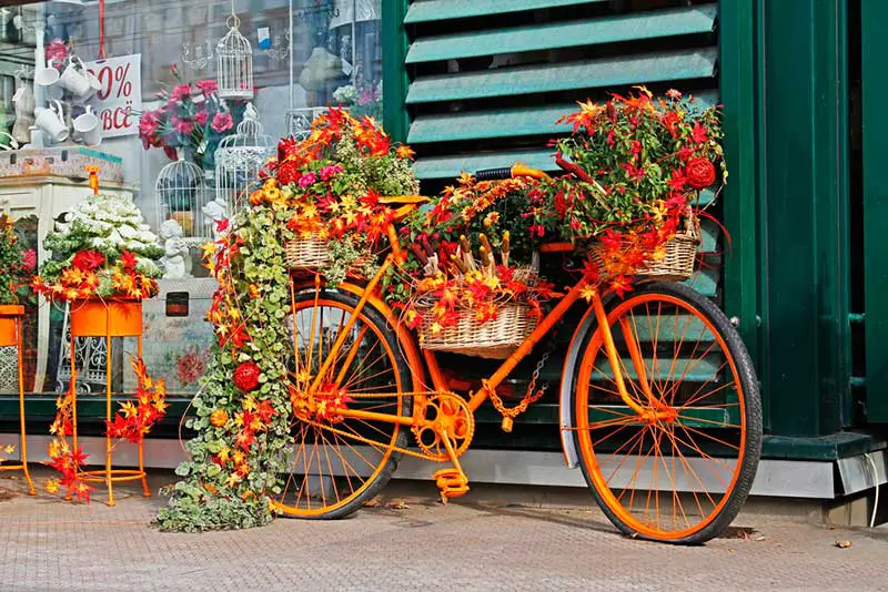 Orange bike planter