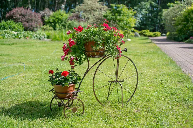 tricycle with red plants