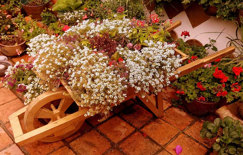 Wooden Wildflowers