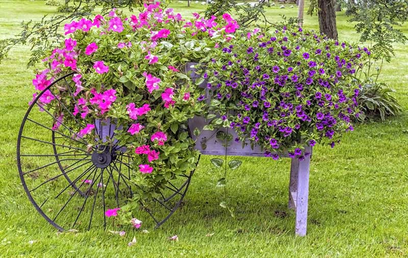 wagon planters