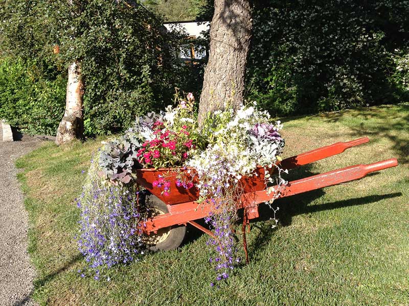 wheelbarrow flowers hanging