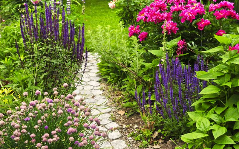 blooming flower walkway