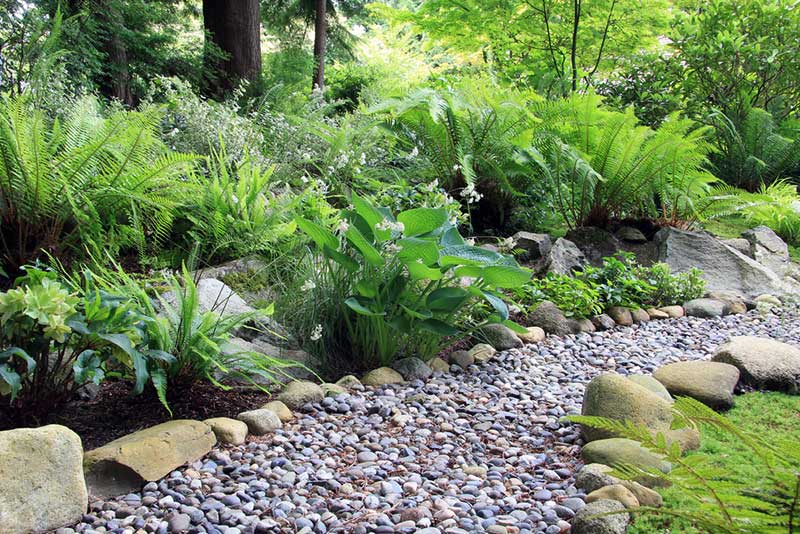 shaded gravel walkway