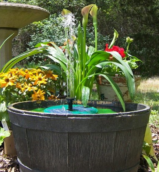 8 Perfect Spots For a Solar Fountain Pump - Garden Lovers Club