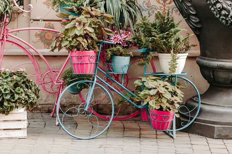 bike plant stand