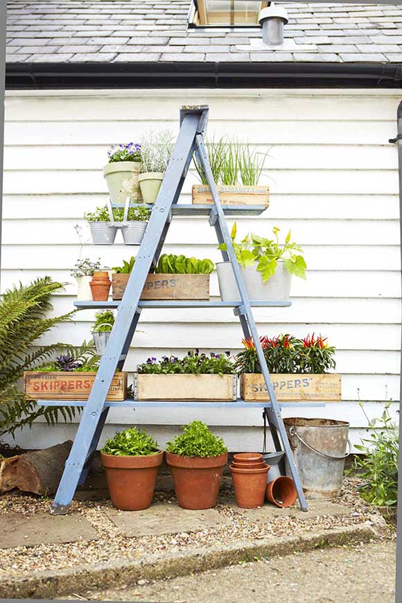 wooden ladder plant stand