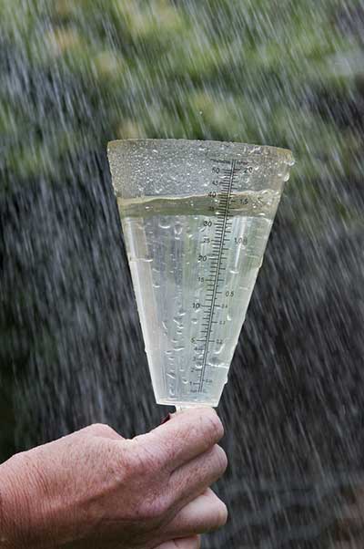 8 Best Garden Rain Gauges - Garden Lovers Club