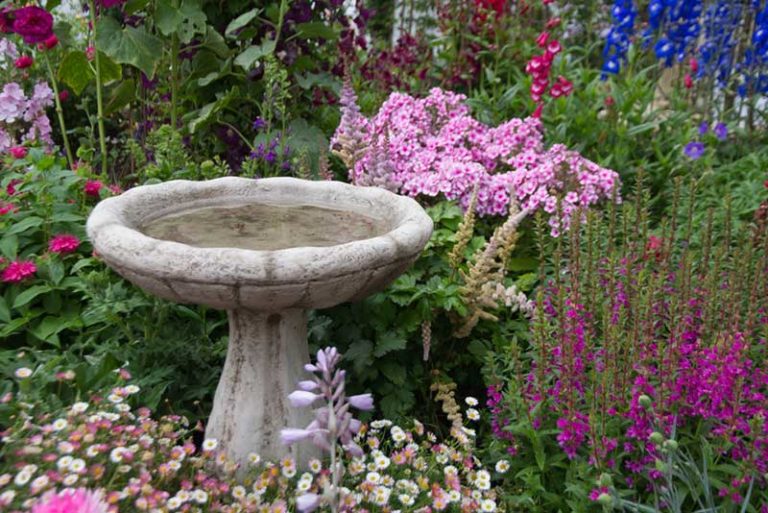 How to Design a Stunning OldFashioned Cottage Garden Garden Lovers Club