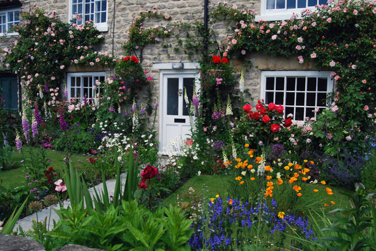 How to Design a Stunning OldFashioned Cottage Garden Garden Lovers Club