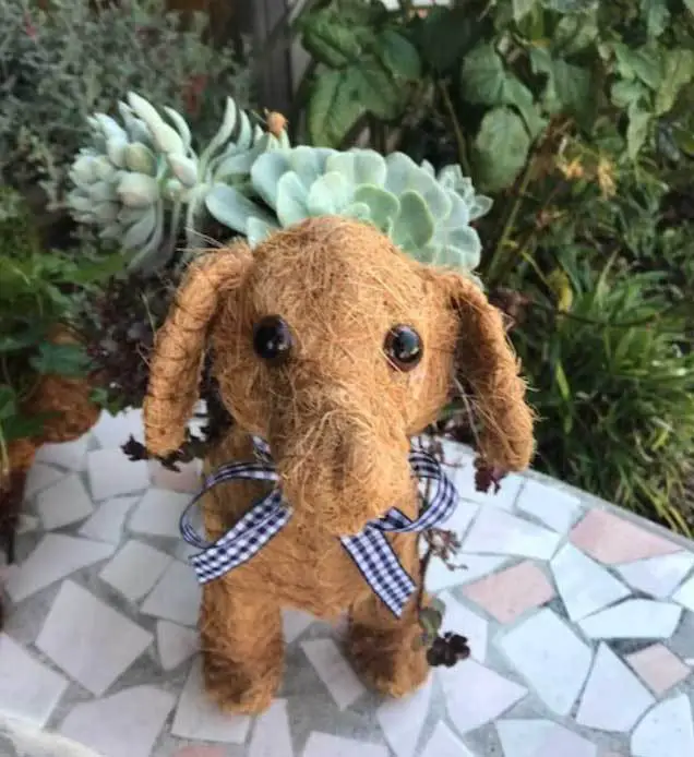 Animal Topiary Coco Planters (2024 Buying Guide) Garden Lovers Club