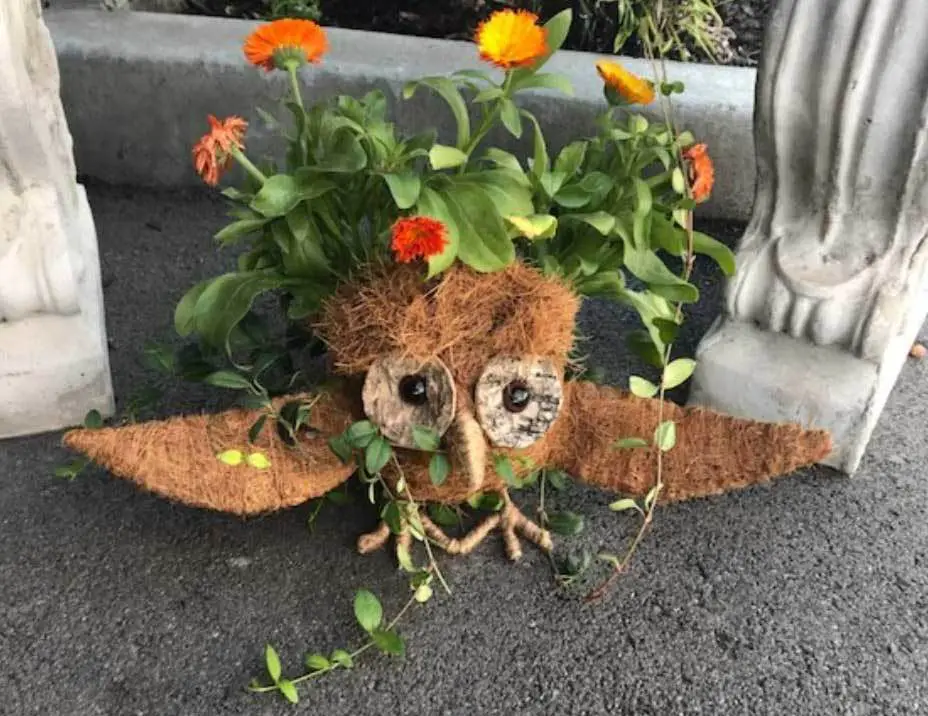 Animal Topiary Coco Planters (2024 Buying Guide) Garden Lovers Club