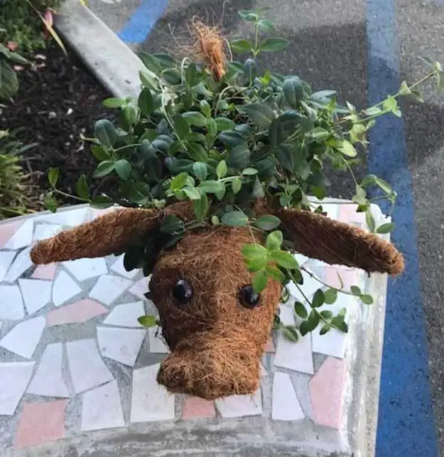 Animal Topiary Coco Planters (2024 Buying Guide) Garden Lovers Club