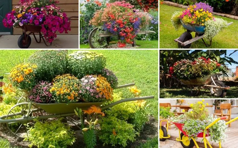 wheelbarrow planter ideas