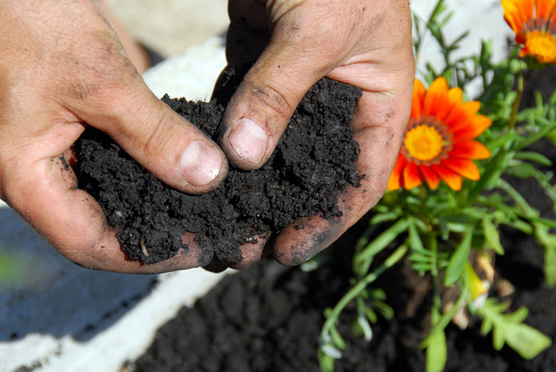 healthy Garden Soil