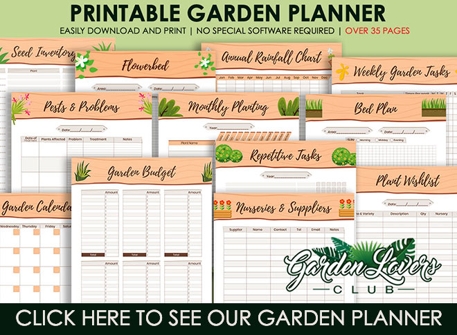 Planificador De Jardín