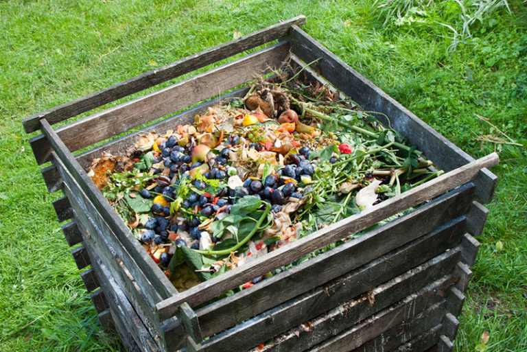 10 Best Practices for Composting in Late Summer Garden Lovers Club