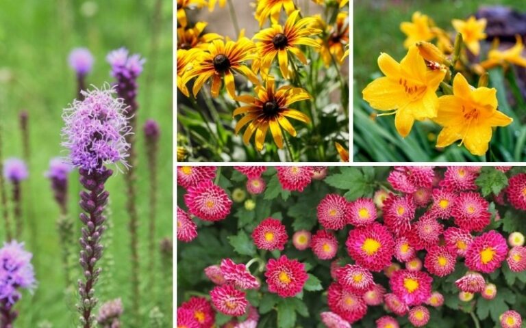 12 Best Salt-Tolerant Perennials - Garden Lovers Club