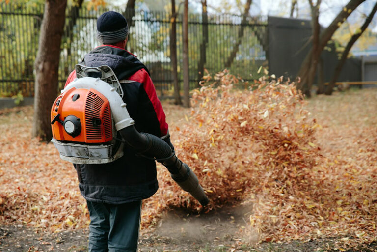 Best Backpack Leaf Blower For Clearing Your Garden The Ultimate Guide