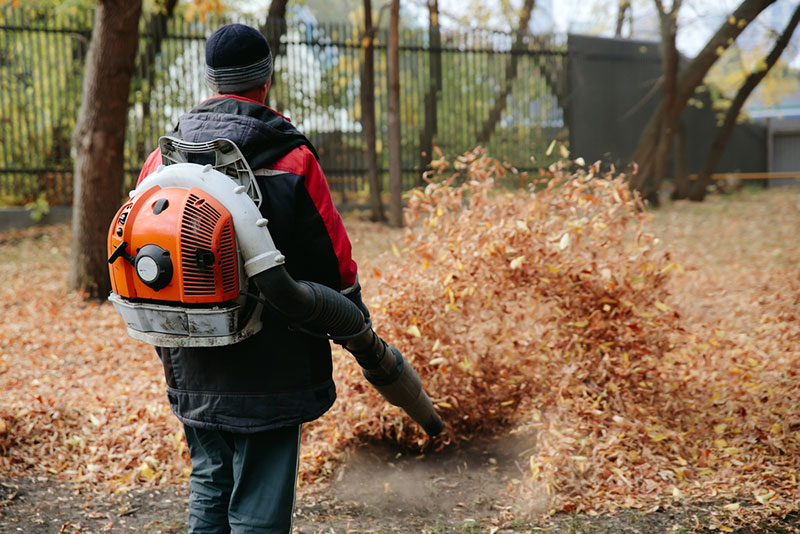 best backpack leaf blowers