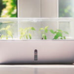 indoor-grow-kit