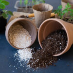 perlite-soil-mixture
