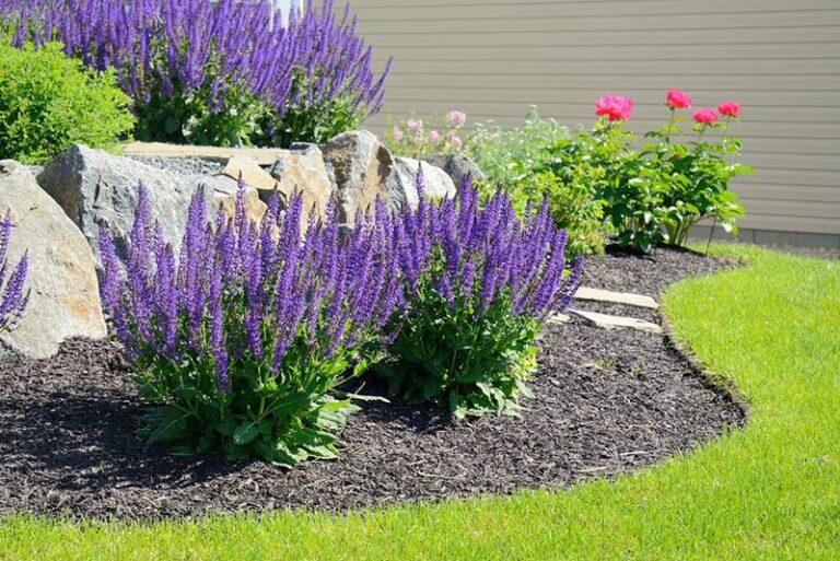 Choosing the Right Mulch for Windy Areas Garden Lovers Club