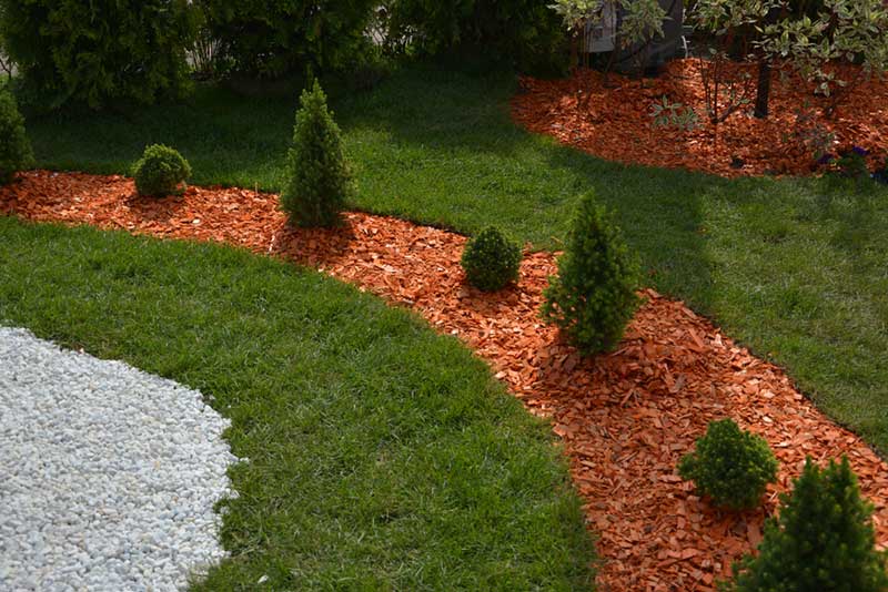 mulch in garden