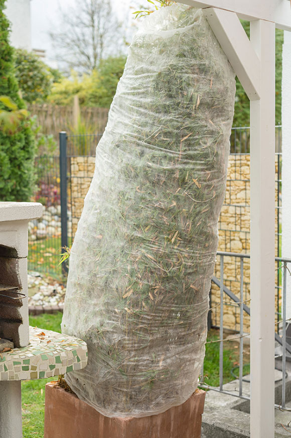 potted plant wrapped in fleece