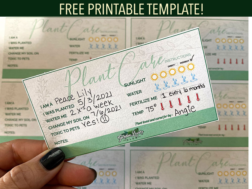 Printable Plant Care Tags (FREE!) Garden Lovers Club