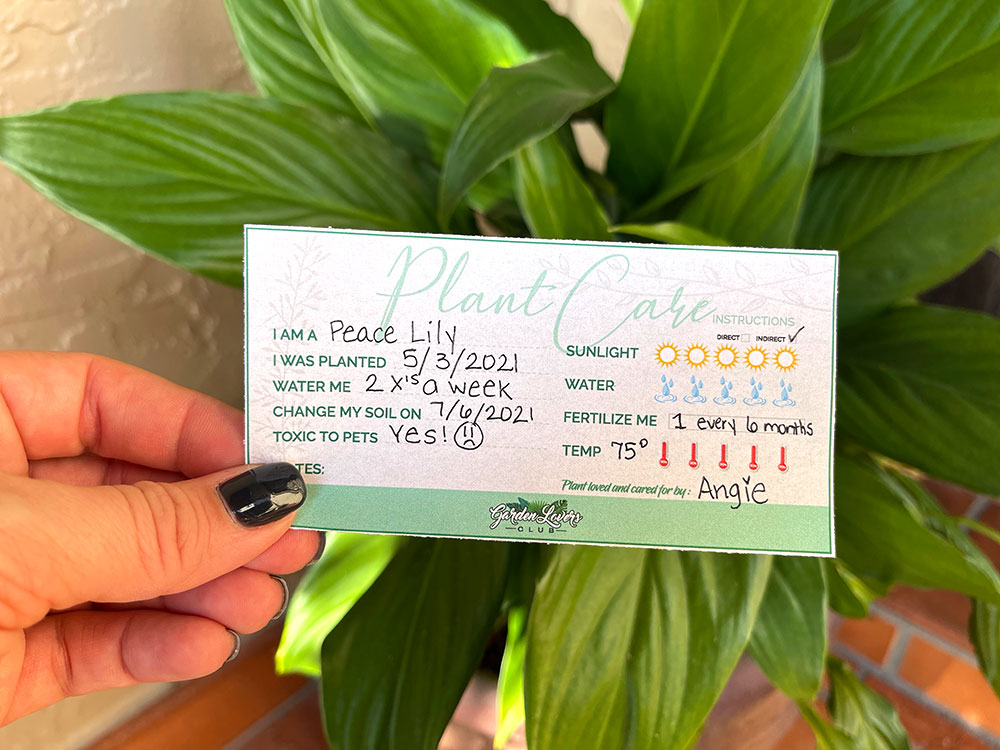 Printable Plant Care Tags FREE Garden Lovers Club printable-plant-care-cards-printable-word-searches